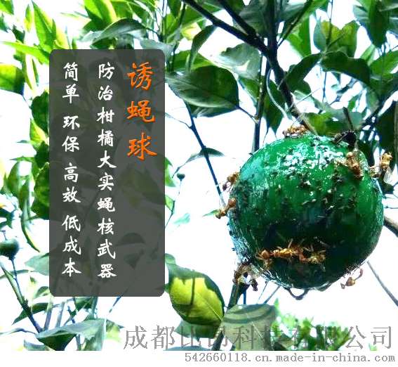 诱蝇球 杀果实蝇 大实蝇 小实蝇