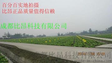 无公害瓜果、蔬菜生产的必备产品进口粘虫胶粘虫版